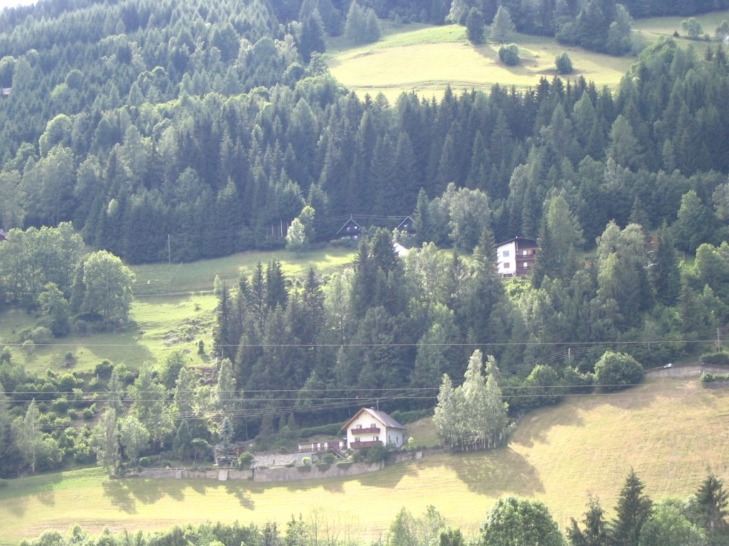 Ferienhäuser am Hang bei Patergassen