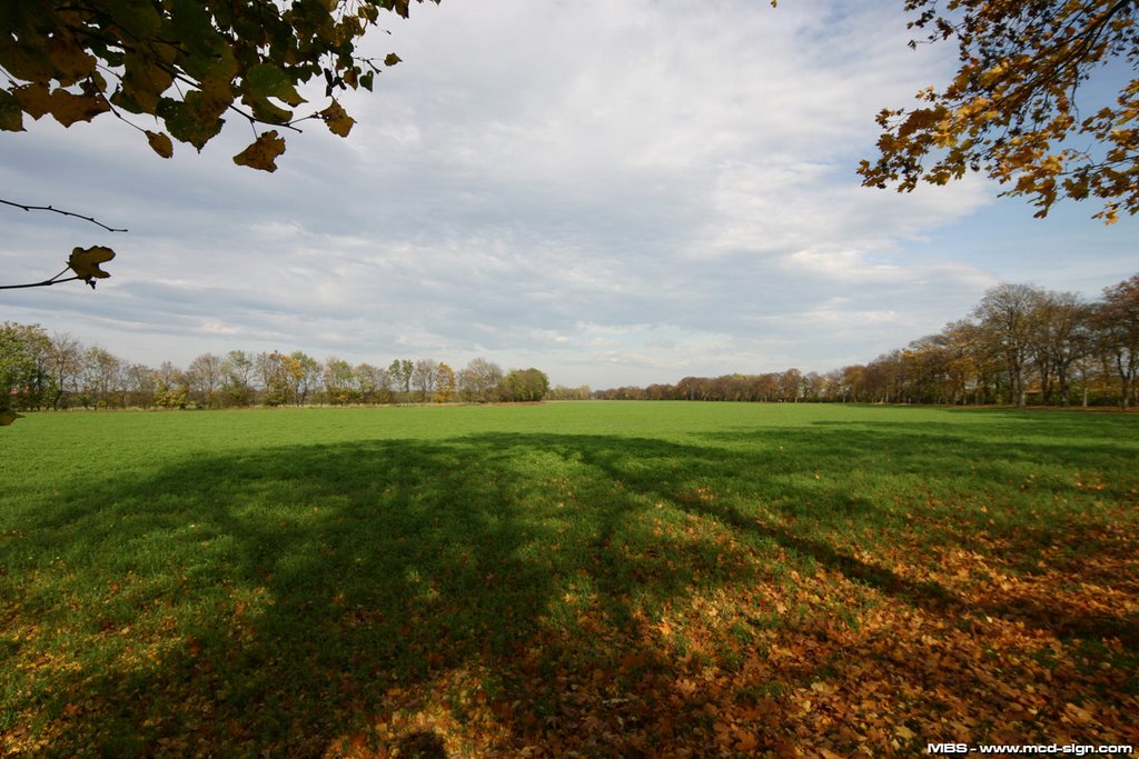 Ther. Militärakademie Park