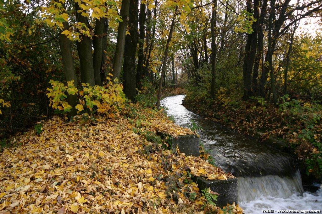 Kehrbach - Ther. Militärakademie Park