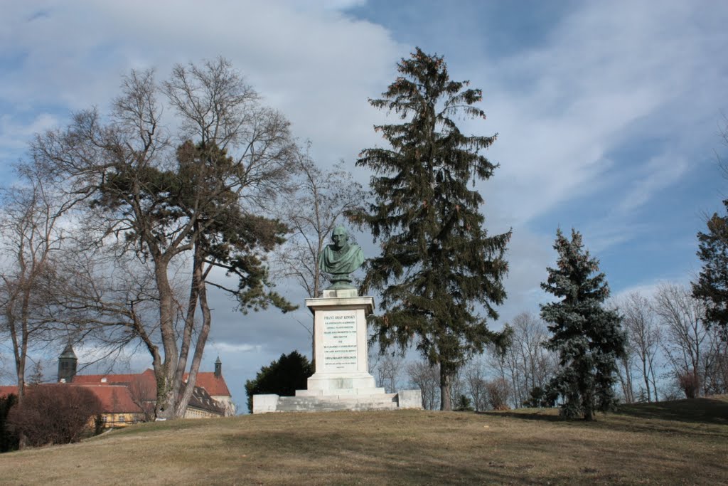 Wiener Neustadt 2009