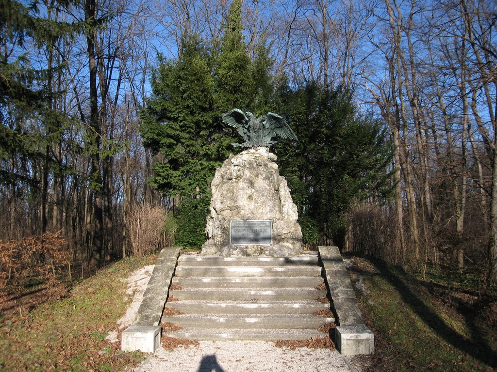 Wiener Neustadt 2009