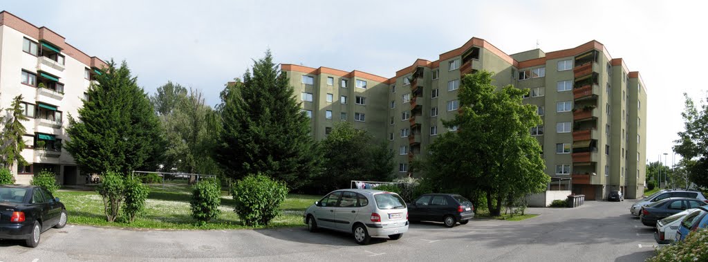 Wiener Neustadt 2006