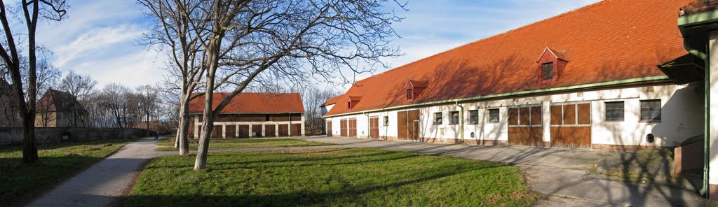 Wiener Neustadt 2010