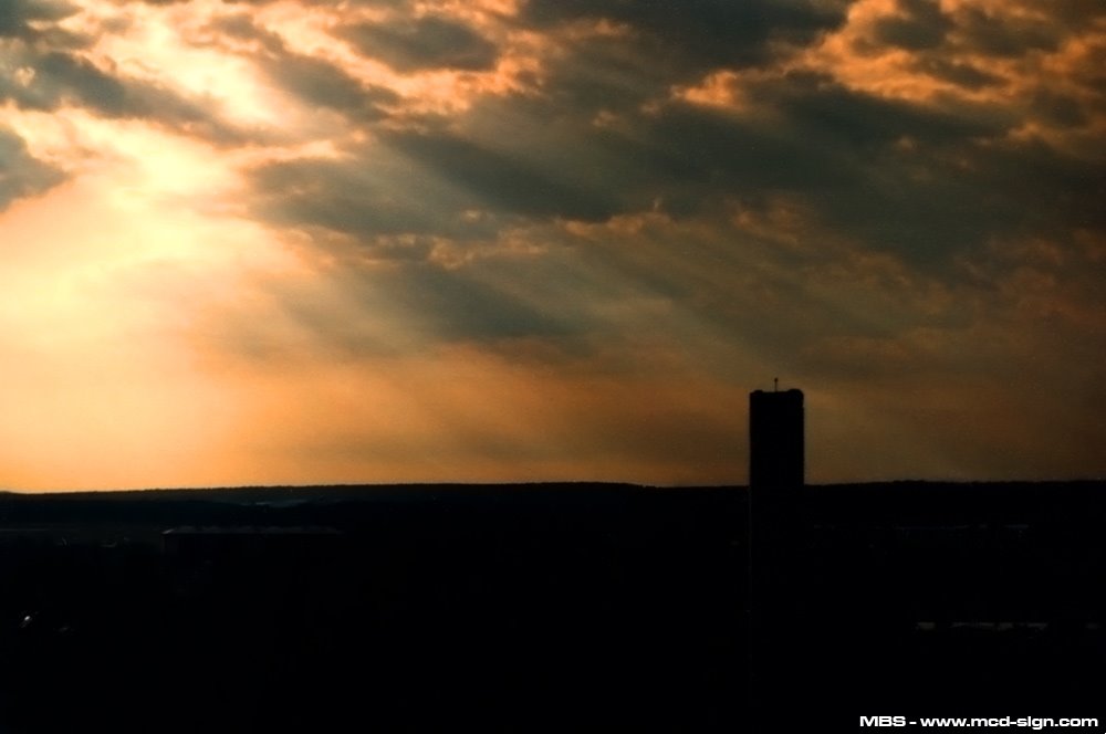sunbeams