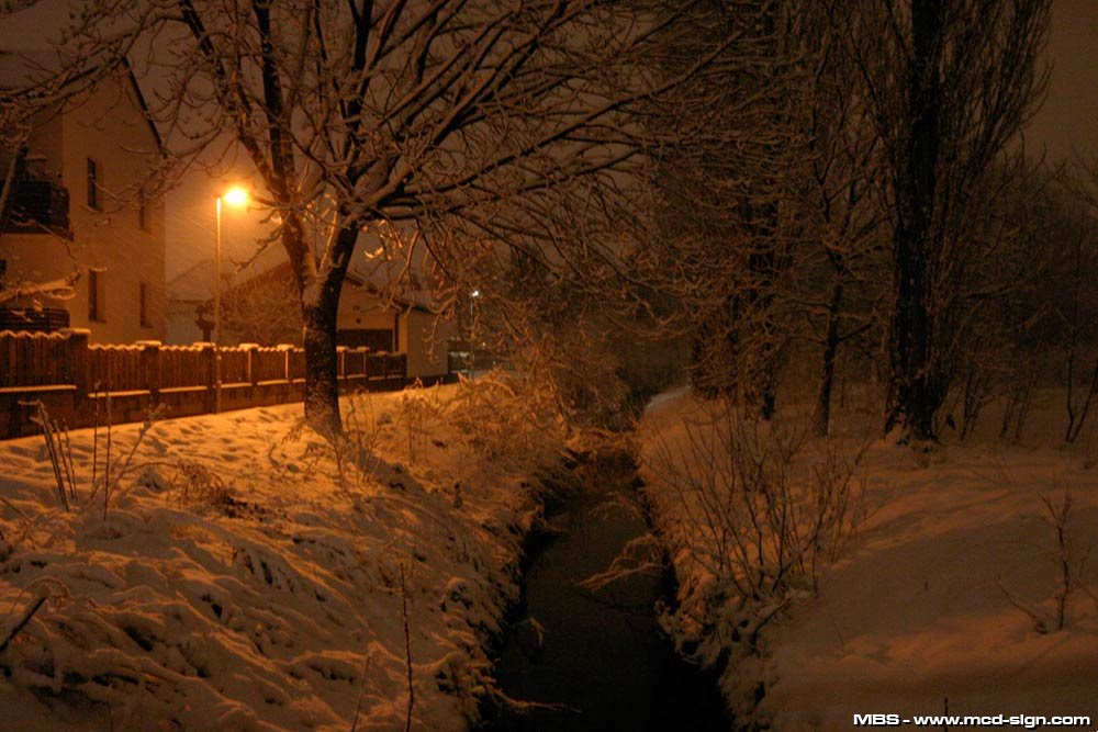 winter
