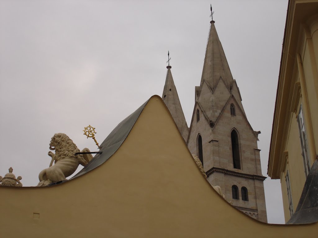 Die Domkirche in Wiener Neustadt