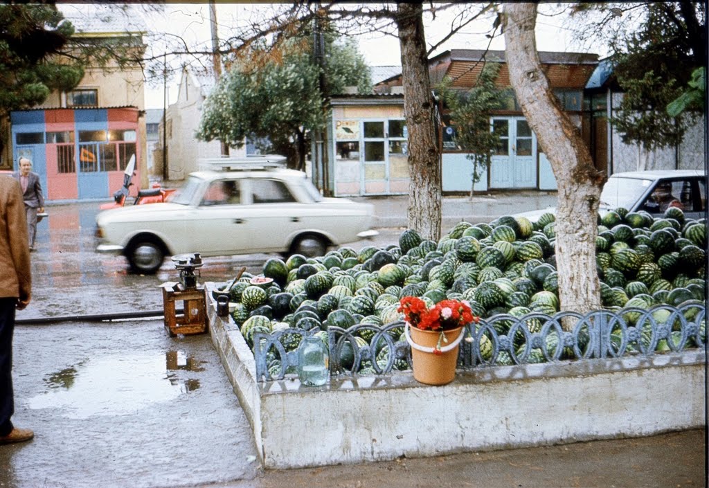 Buzovna