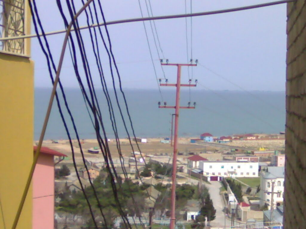 vid s panorama