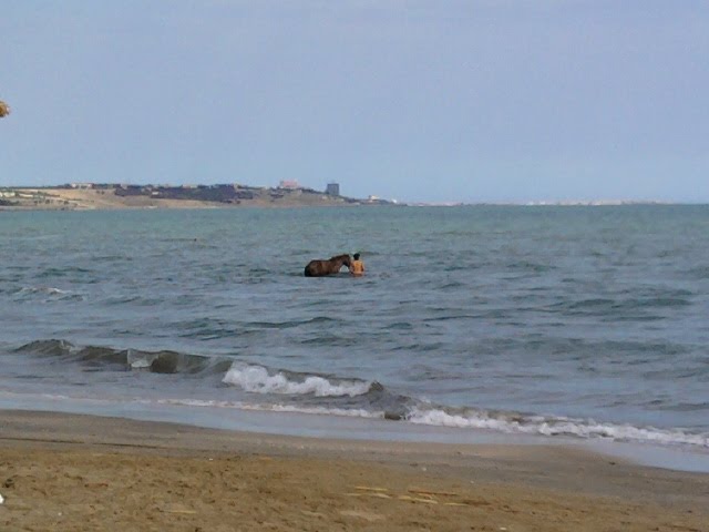Бузовны