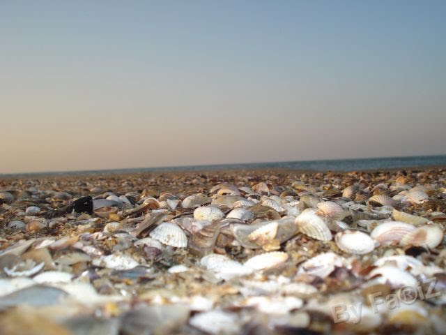 Zagulba