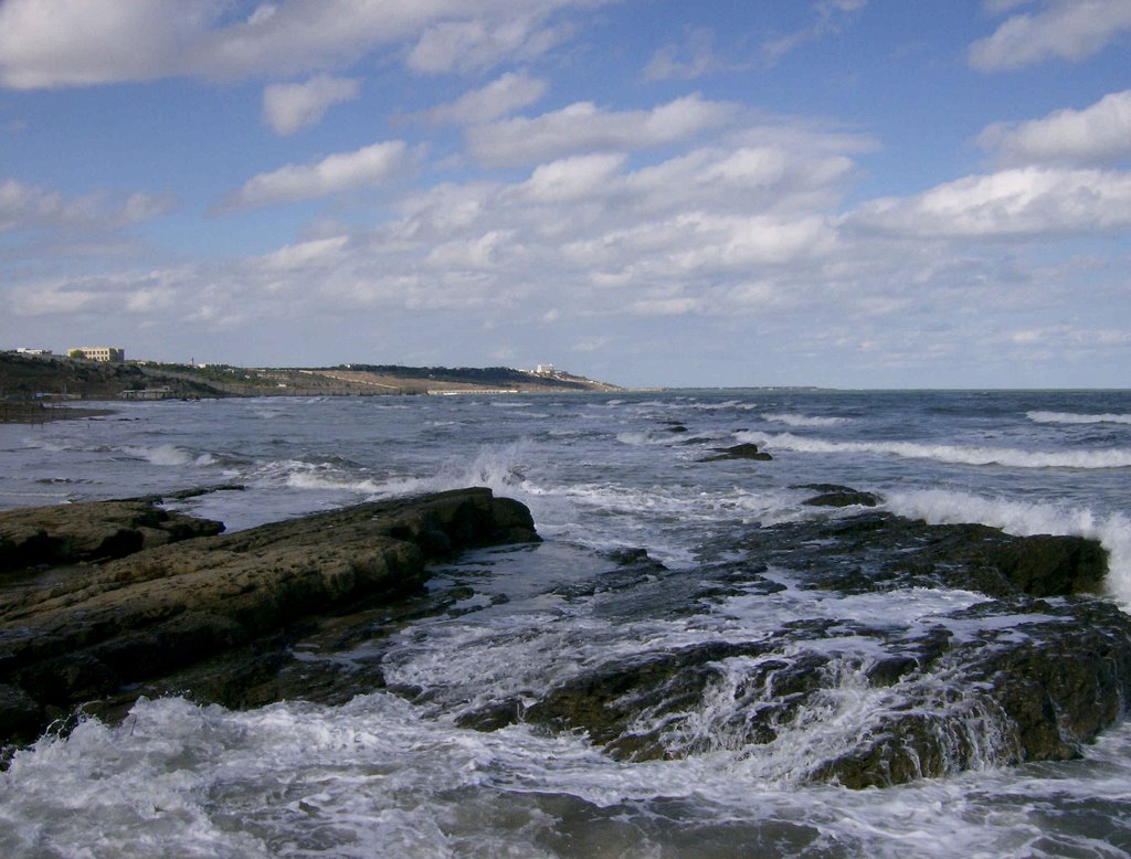 [Caspian shore]