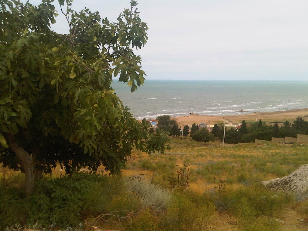 View from Prof. Gindess sanatorium