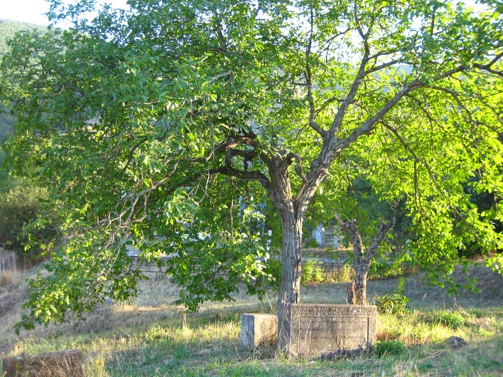 hadrout