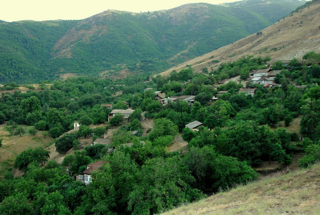 Вид на Вардашат