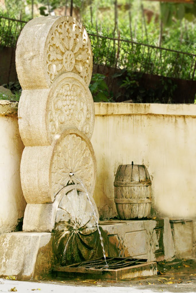 Drinking Fountain