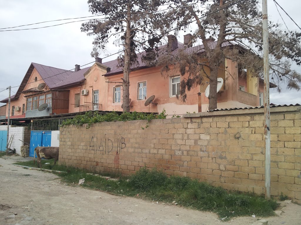 Salyanskoe st., Qobustan
