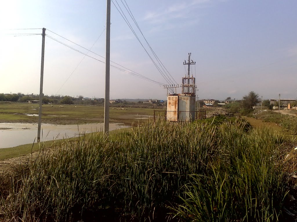 Korpu