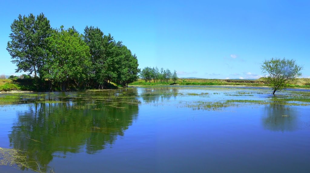 رود ارس-Aras river