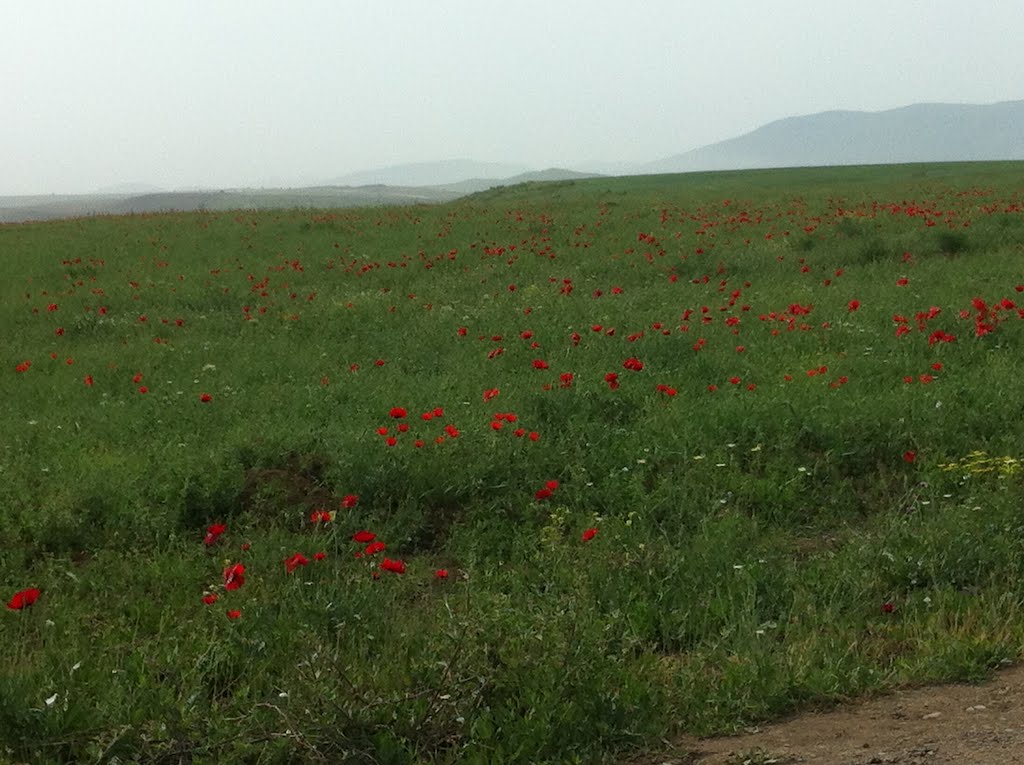 Qala Alti yolu