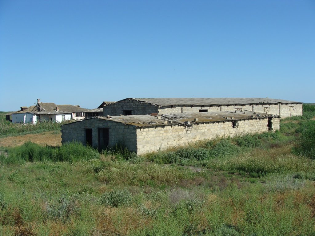 хлев