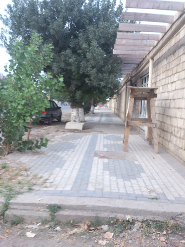 Əsas küçə