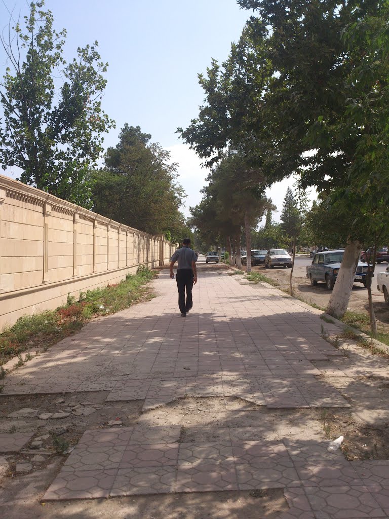 Polis