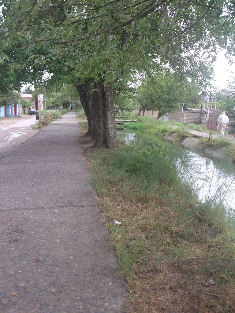 Kanal (Arx)