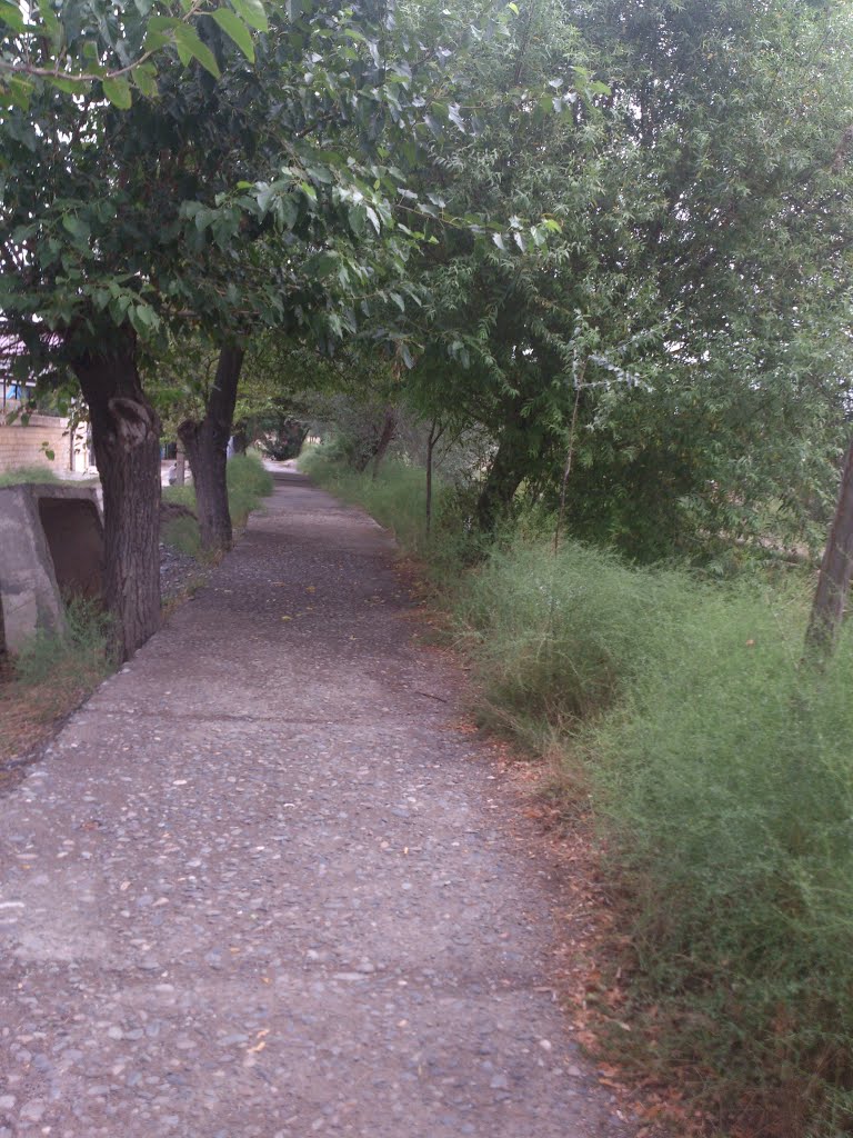 Kanal (Arx)