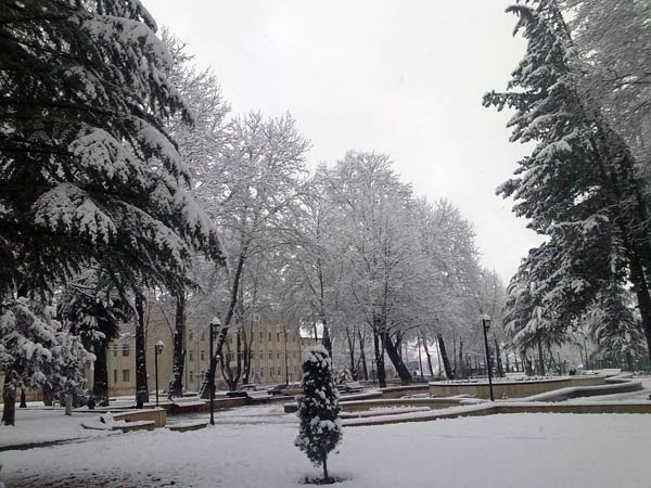 Центральный парк - январь месяц