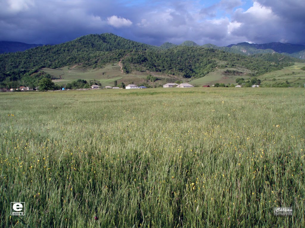 Cülyan