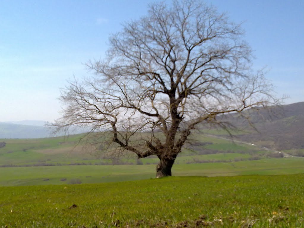 AZERBAIJAN