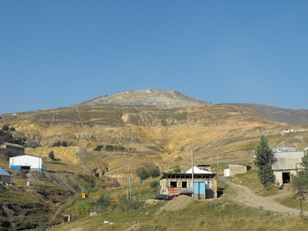 Golden hill. AIMC