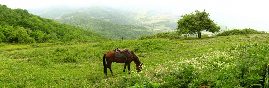 Nagorno-Karabakh Republic - Small glade near Gtichvank monastery Нагорно-Карабахская республика - Поляна перед монастырём Гтичванк