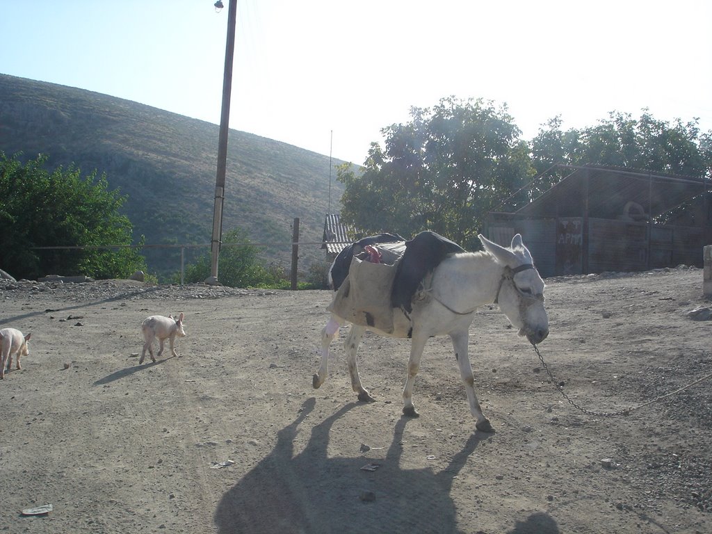 Qırmızı Bazar