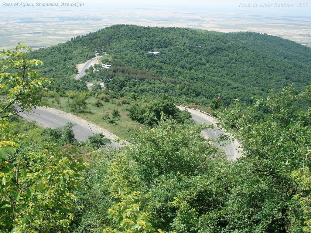 Shamakhi