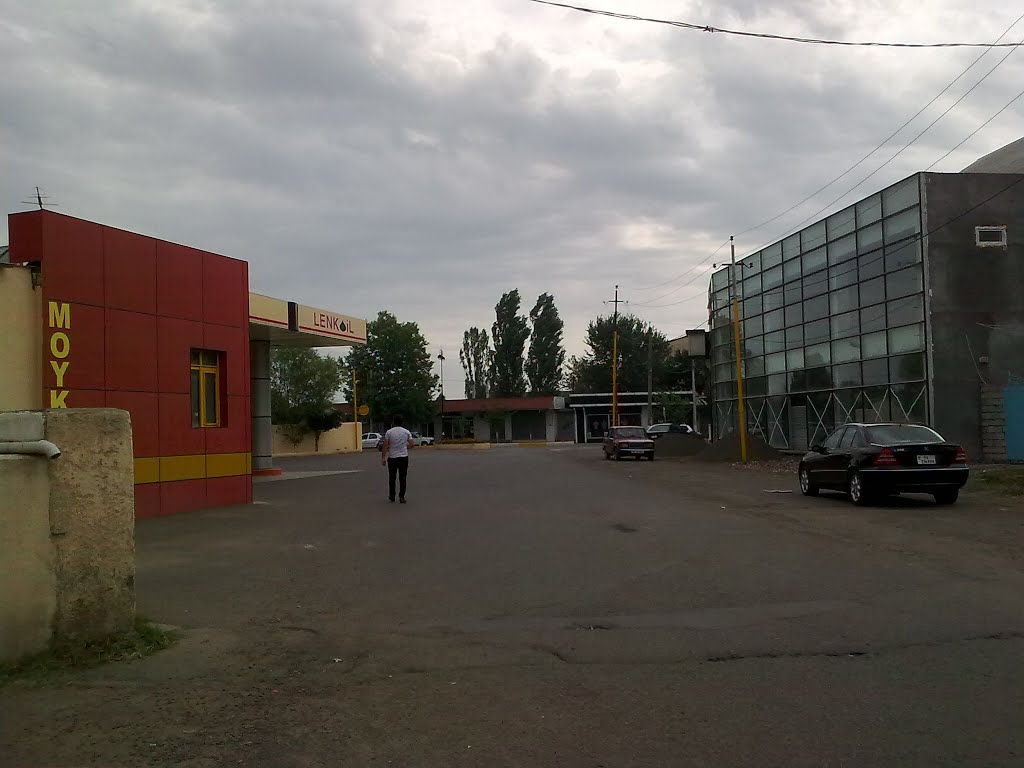Lenkoil
