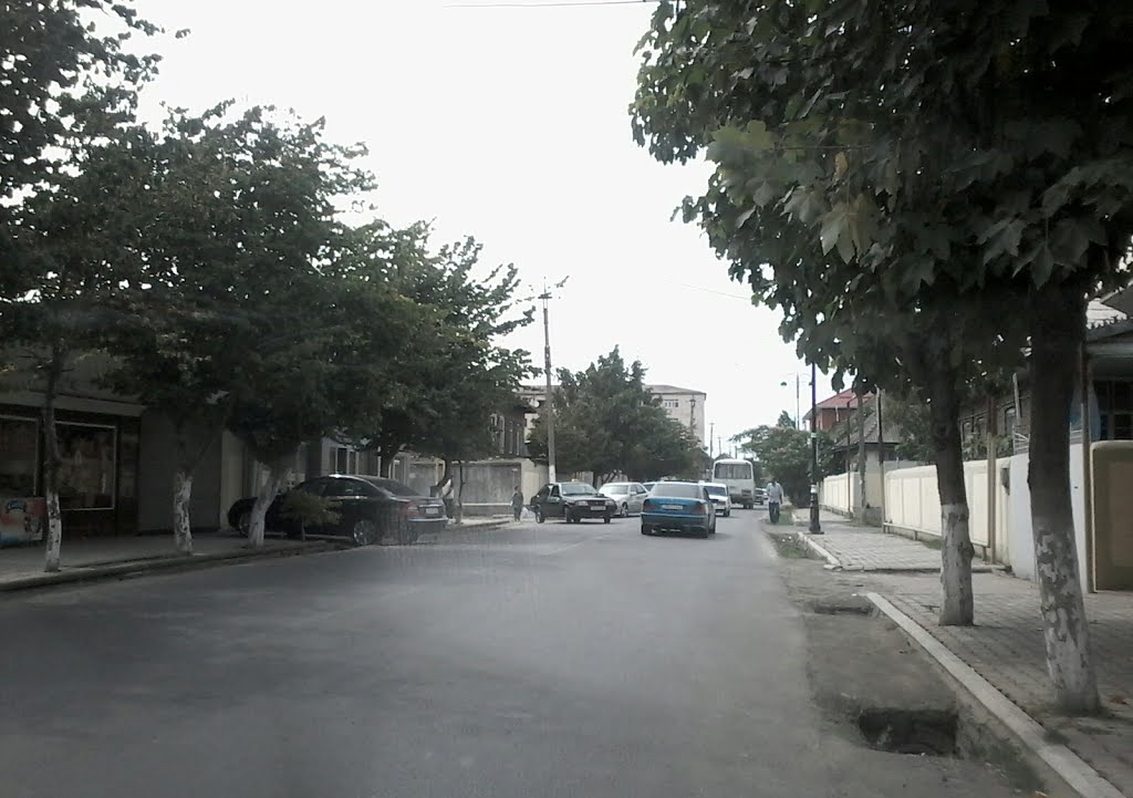 Zərifə Əliyeva küçəsi
