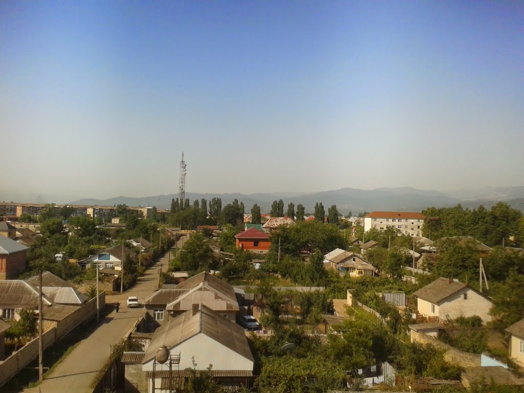 Foto