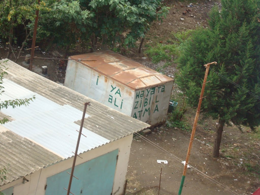 Lenkeran