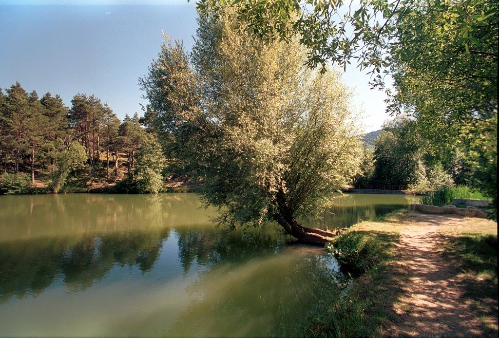 lenkoran