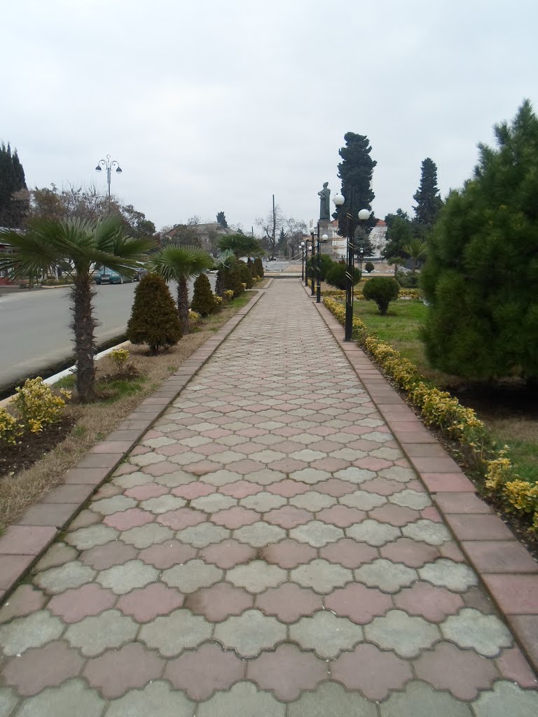 Hezi Aslanov parki
