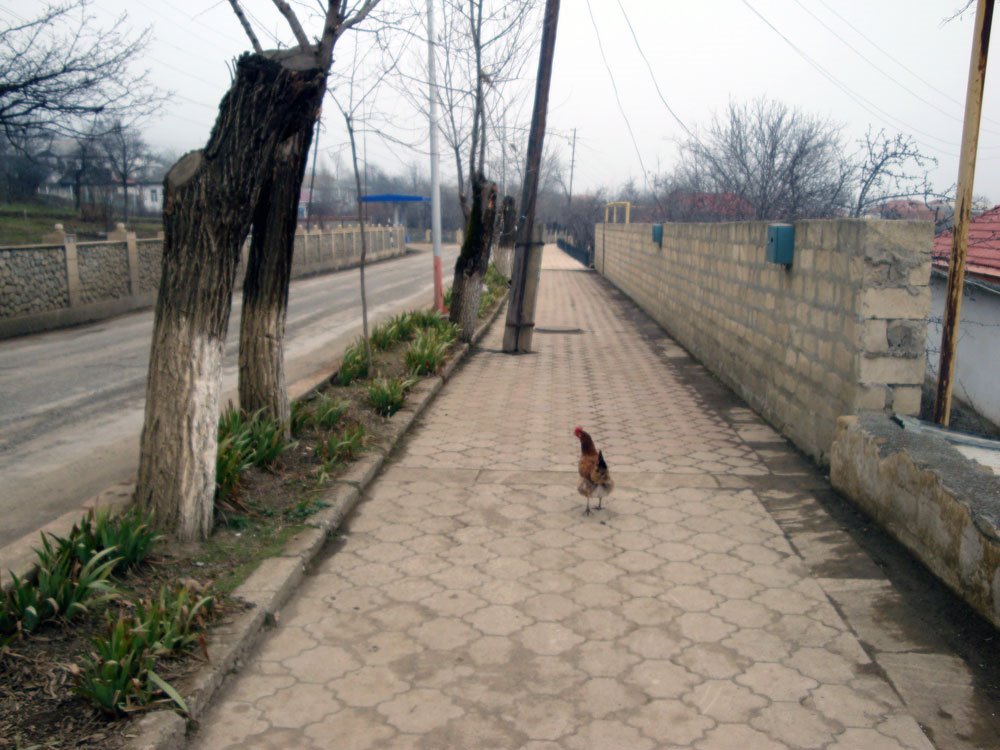 Lerik, Azerbaijan