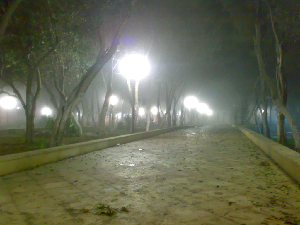 Mashtaga_park_night1