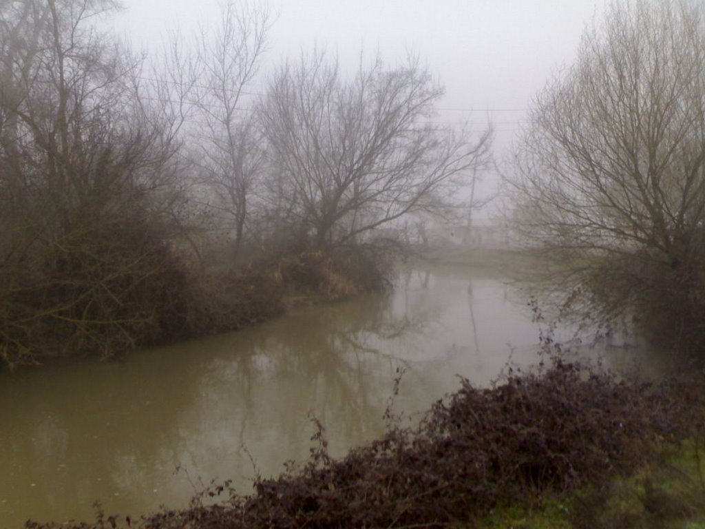 mystical Saatly