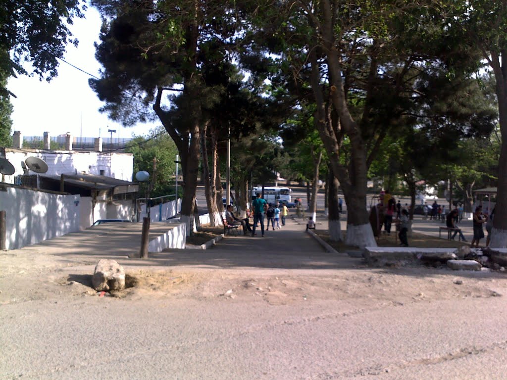 sabuncu