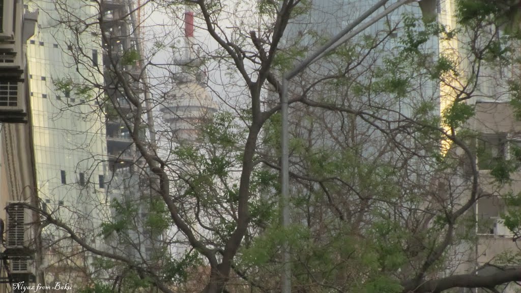 Baku N.F.B.