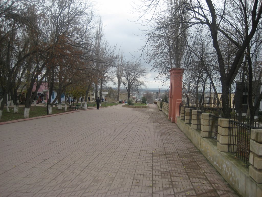 Cefer Cabbarli Parki