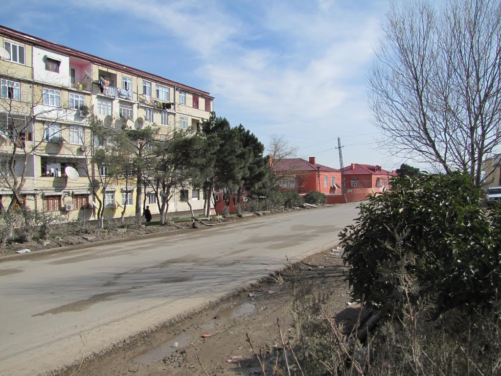Bazara geden yol