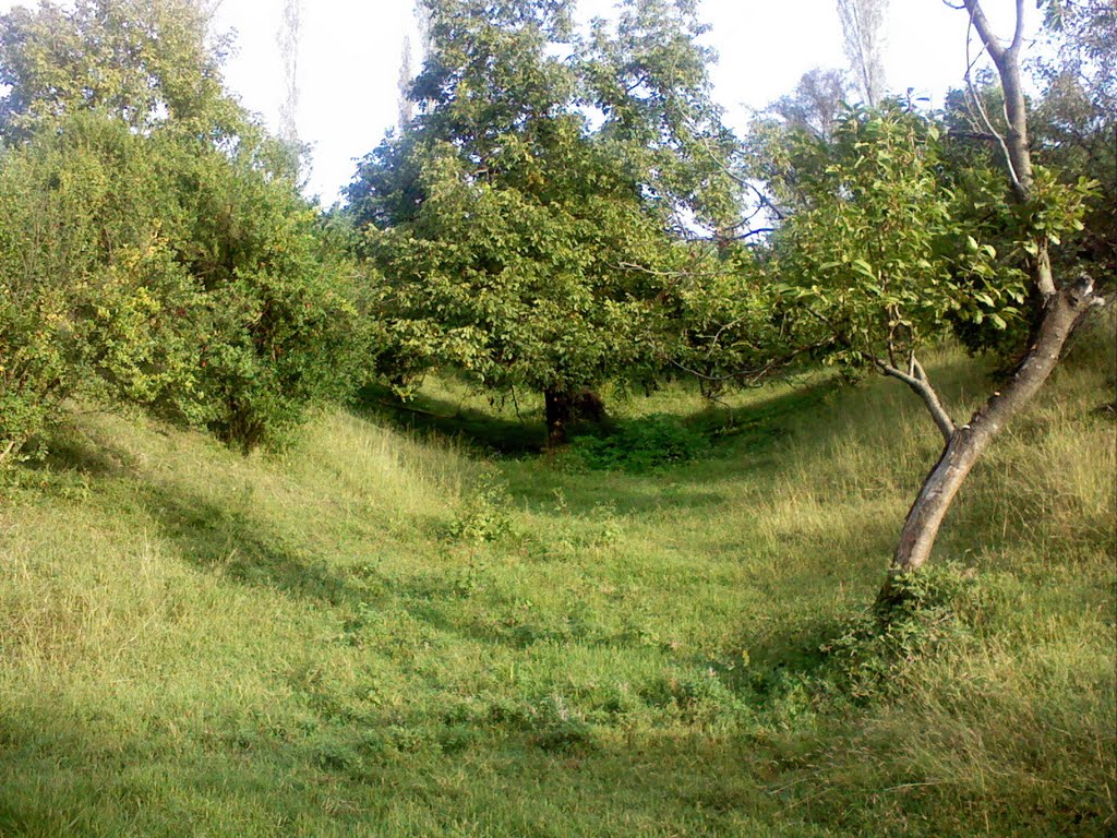 Tovuz