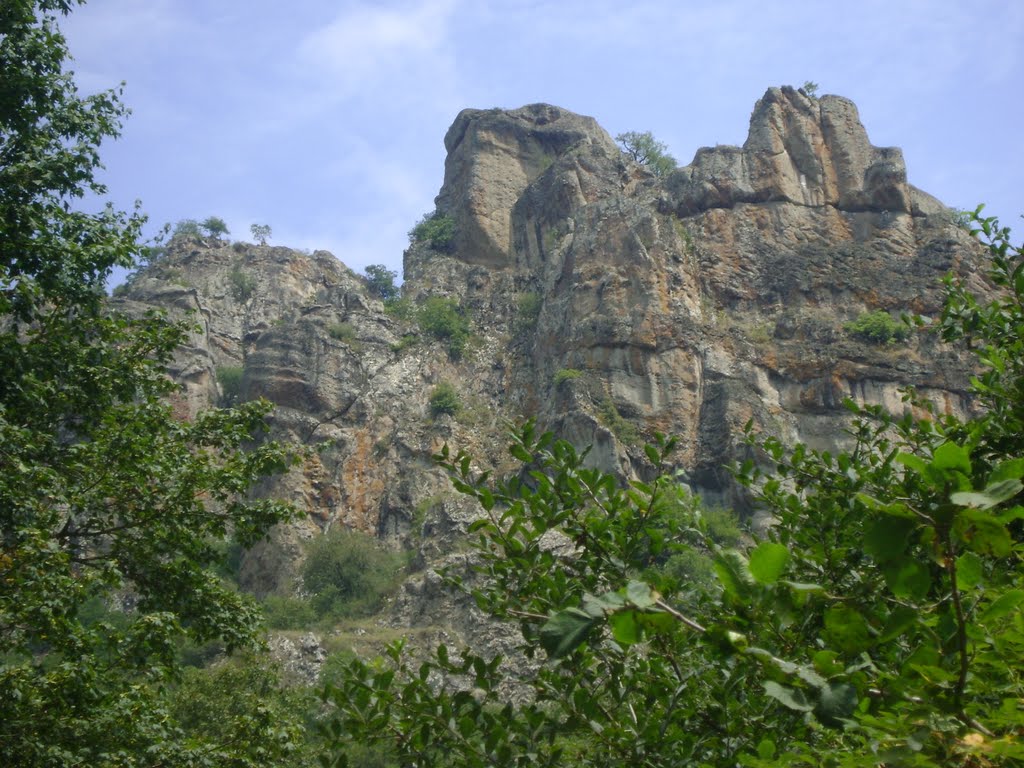 tovuz